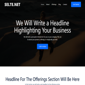 SELTENET INC – 赛尔特网络