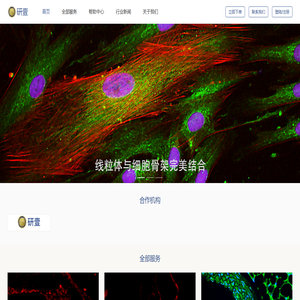 研壹生物-研壹团队从事数据统计-实验设计、论文返修、实验代做、SCI论文润色、医学专业翻译服务