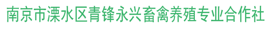 南京生猪养殖-黑天鹅养殖-南京市溧水区青锋永兴畜禽养殖专业合作社