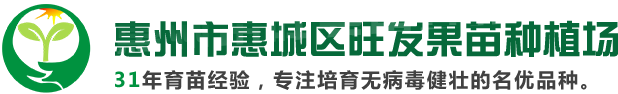 果苗|广东果苗批发|惠州果苗批发|果苗种植场|惠州果苗基地-惠州市惠城区旺发果苗种植场