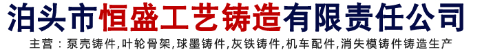 泵壳铸件,叶轮骨架,球墨铸件,灰铁铸件,机车配件-泊头市恒盛工艺铸造有限责任公司